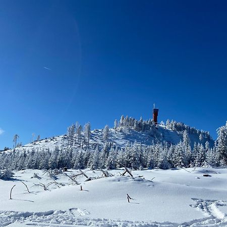 Bergtraum Braunlage Im Harz, 17 Gaeste, Sauna, Pool Villa Luaran gambar
