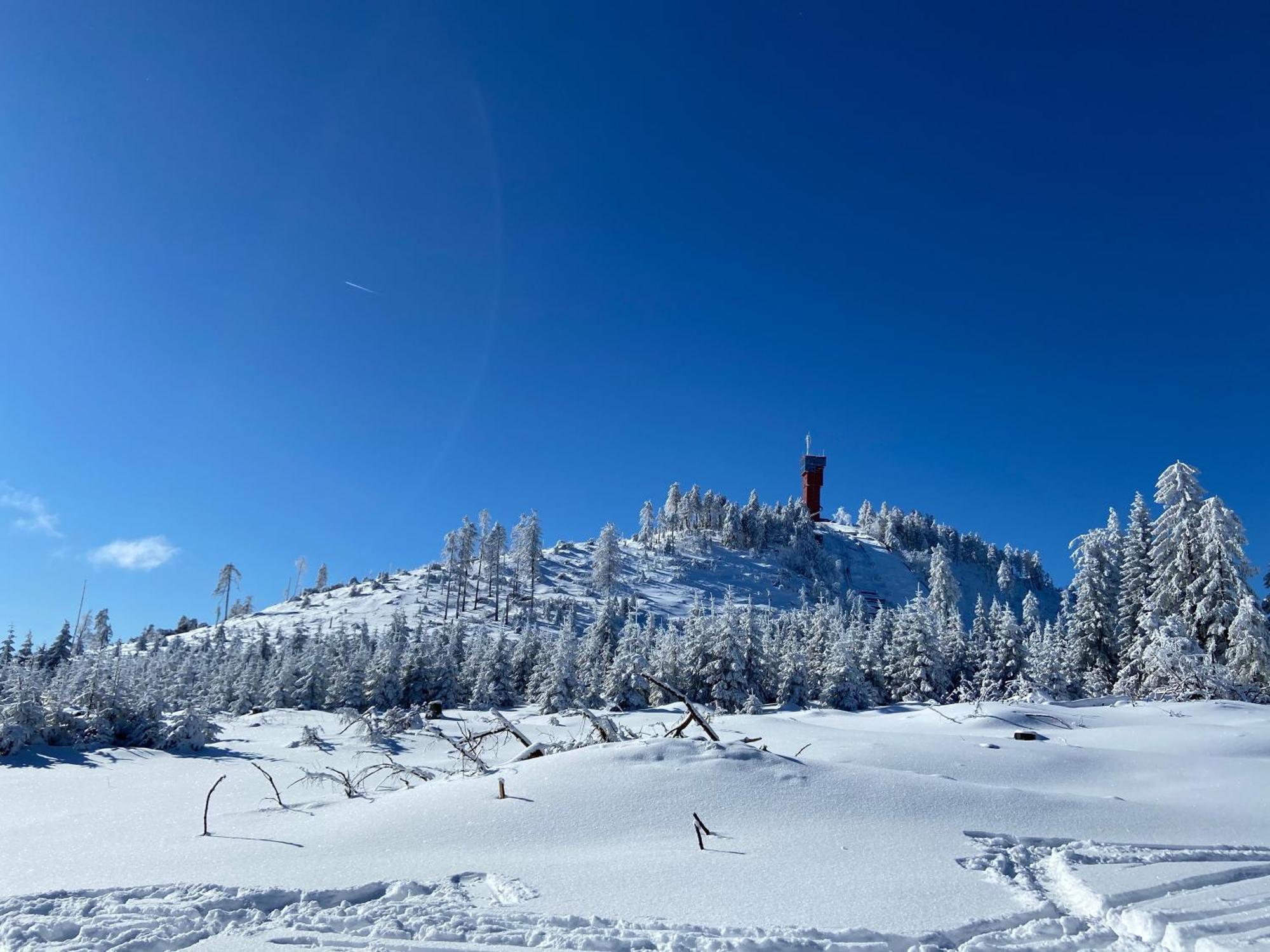 Bergtraum Braunlage Im Harz, 17 Gaeste, Sauna, Pool Villa Luaran gambar