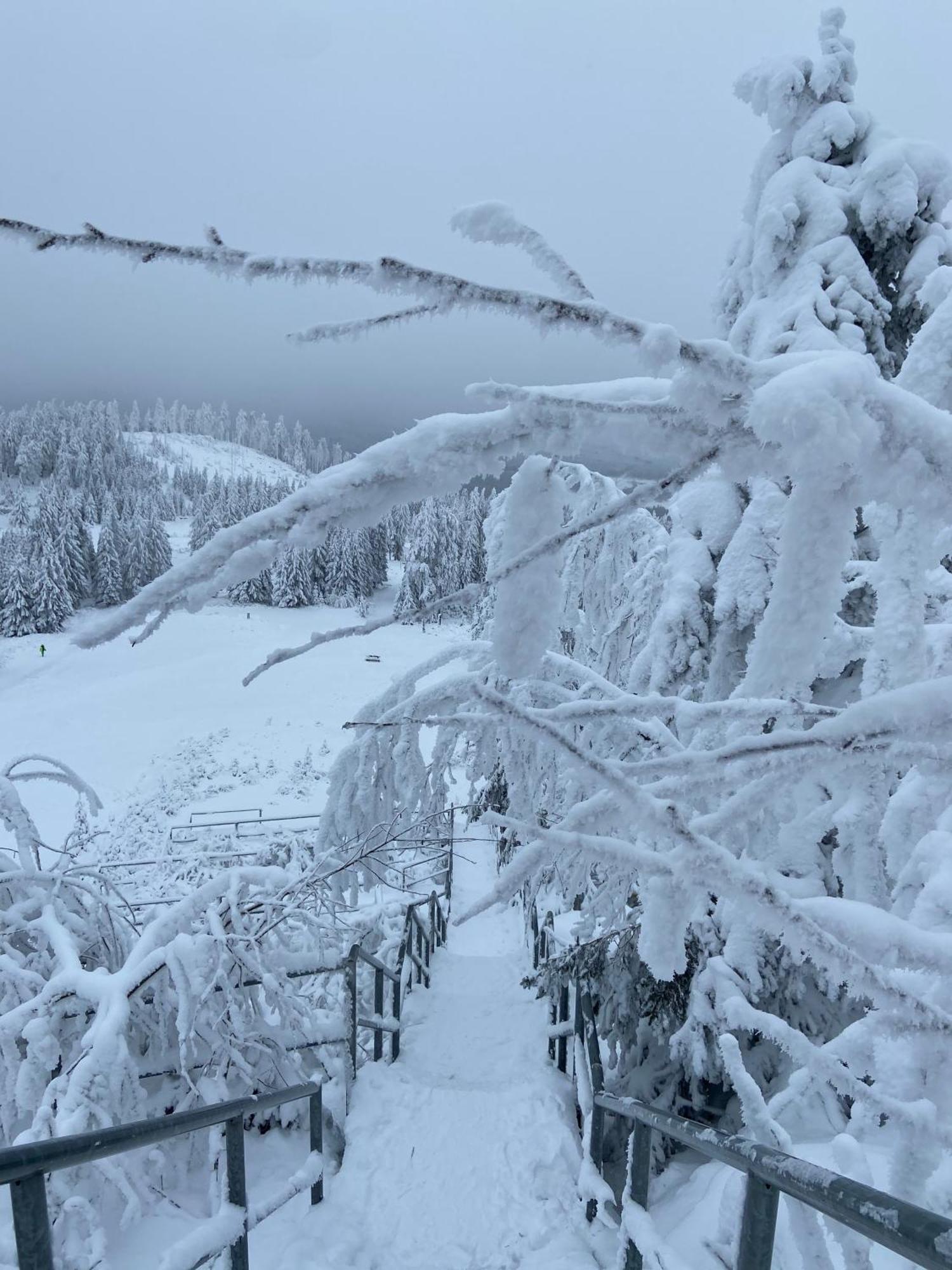 Bergtraum Braunlage Im Harz, 17 Gaeste, Sauna, Pool Villa Luaran gambar